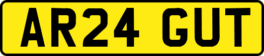 AR24GUT