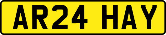 AR24HAY