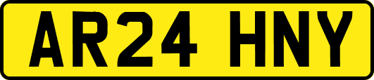 AR24HNY