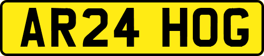 AR24HOG