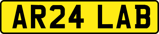 AR24LAB