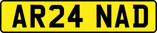 AR24NAD