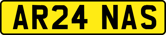 AR24NAS