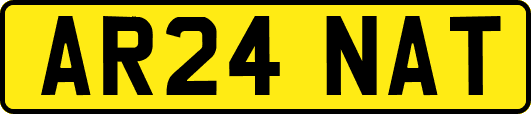 AR24NAT