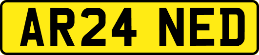 AR24NED