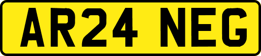 AR24NEG
