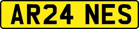 AR24NES