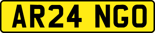 AR24NGO