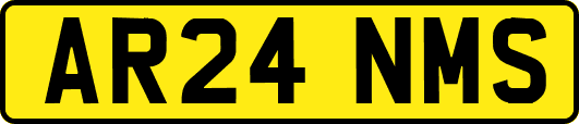 AR24NMS