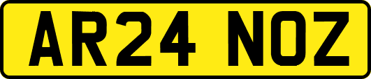 AR24NOZ