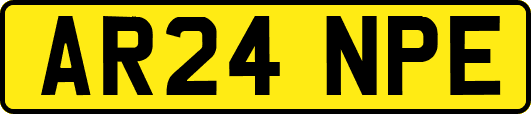 AR24NPE