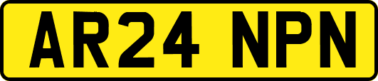 AR24NPN