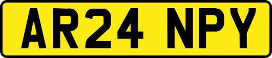AR24NPY