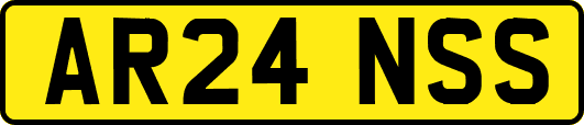 AR24NSS