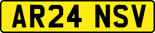 AR24NSV