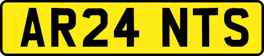 AR24NTS