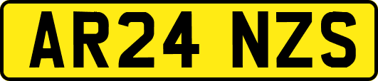 AR24NZS