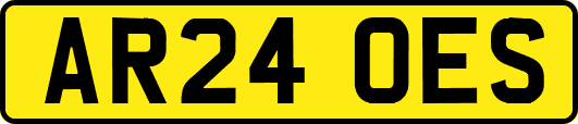 AR24OES