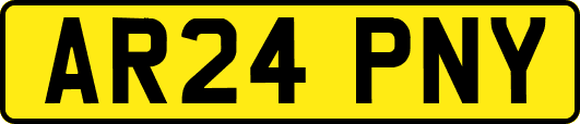 AR24PNY