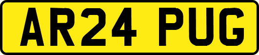 AR24PUG