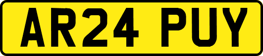 AR24PUY