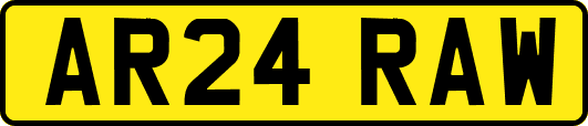AR24RAW