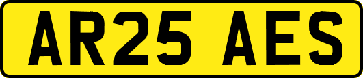 AR25AES
