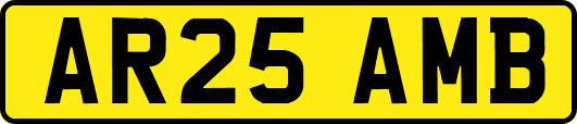 AR25AMB