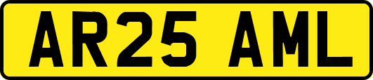 AR25AML