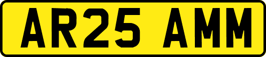 AR25AMM