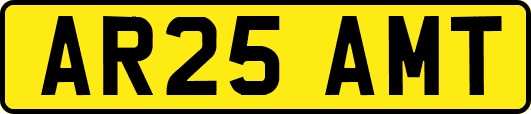 AR25AMT