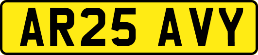 AR25AVY