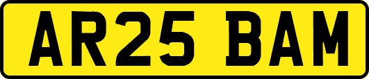 AR25BAM