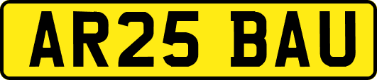 AR25BAU