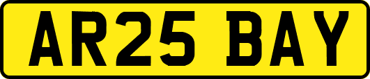 AR25BAY