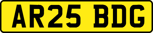 AR25BDG