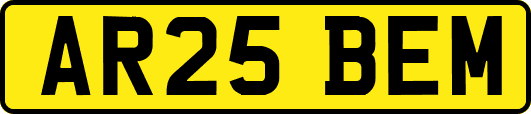AR25BEM