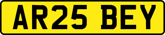 AR25BEY