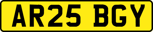 AR25BGY