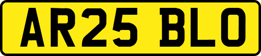 AR25BLO
