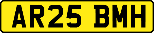 AR25BMH