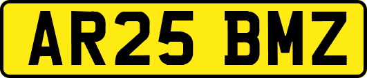 AR25BMZ