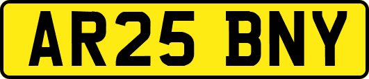 AR25BNY