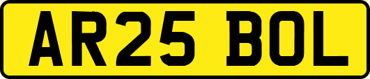 AR25BOL