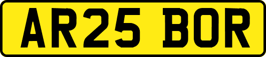 AR25BOR