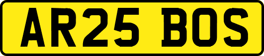 AR25BOS