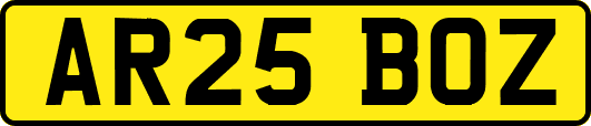 AR25BOZ