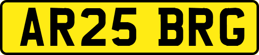AR25BRG