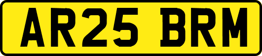 AR25BRM