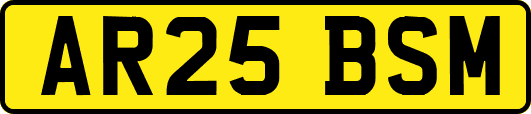 AR25BSM